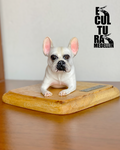 BULLDOG 12 CM