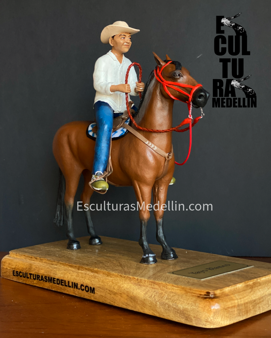 CABALLO CRIOLLO CON MONTADOR