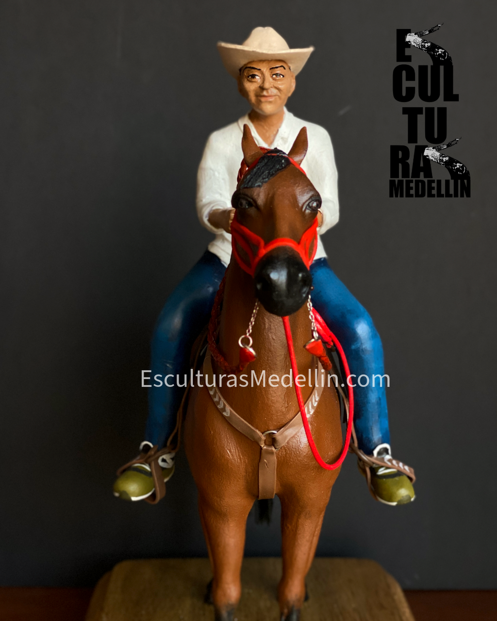 CABALLO CRIOLLO CON MONTADOR