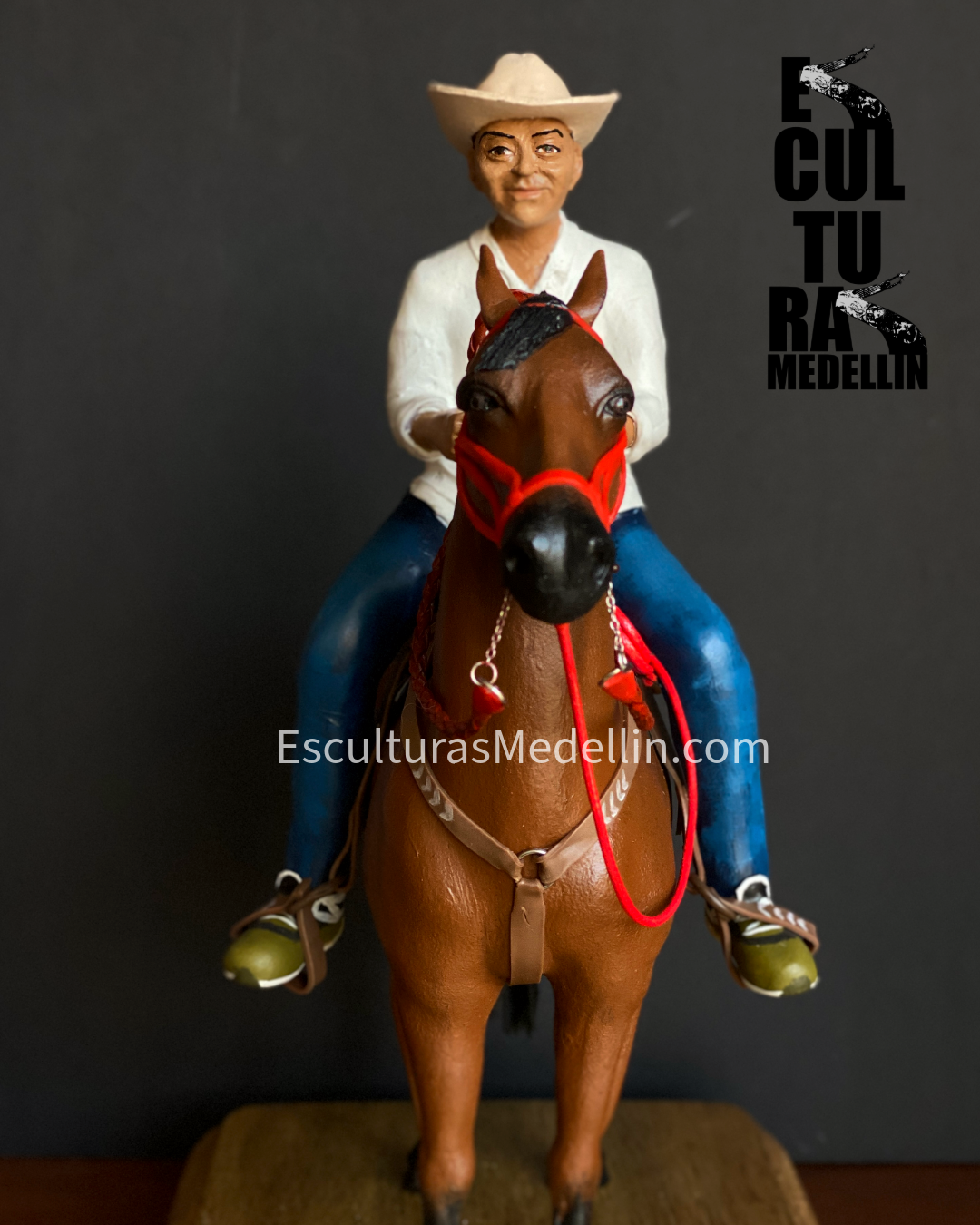 CABALLO CRIOLLO CON MONTADOR