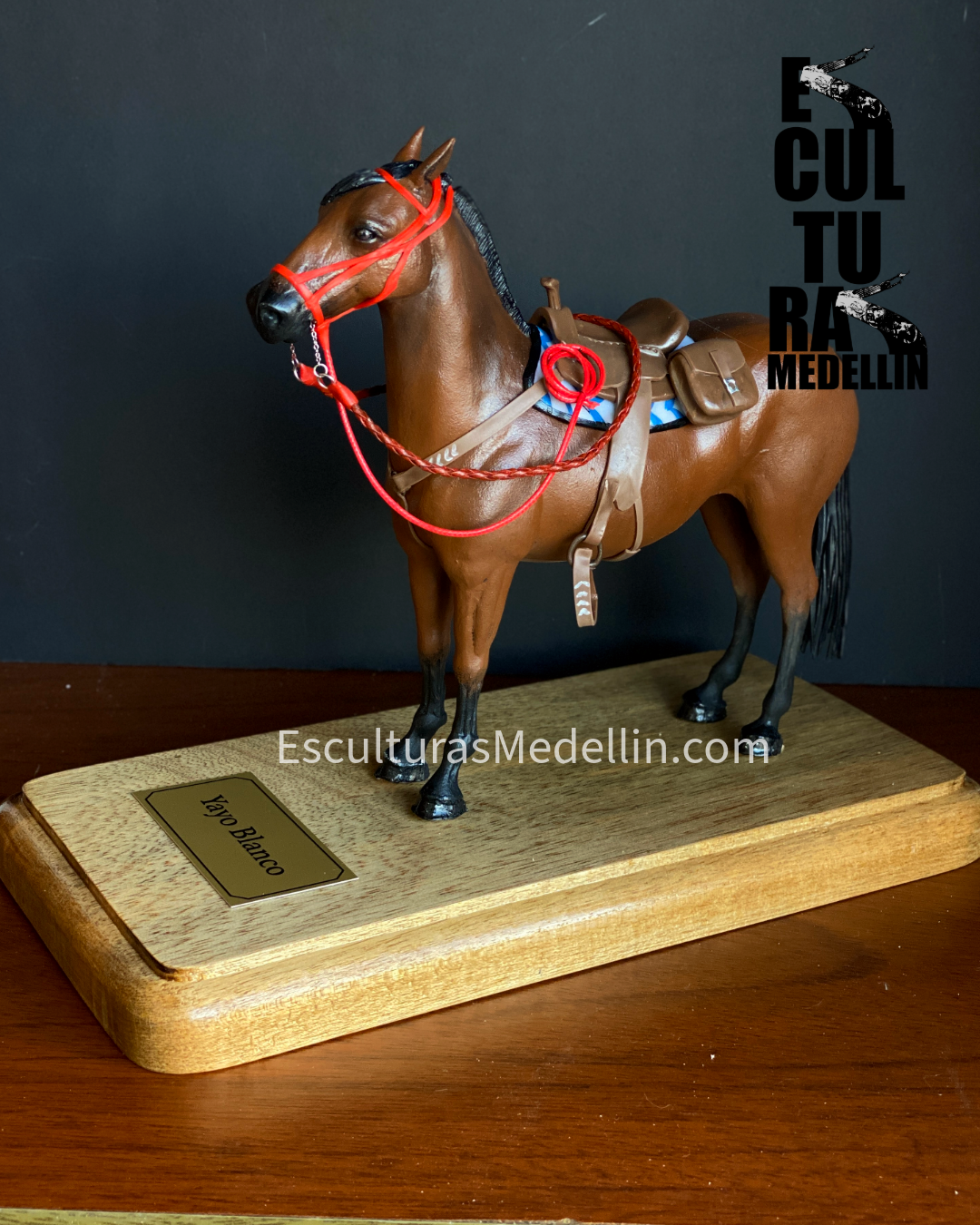 CABALLO CRIOLLO  FULL DETALLES