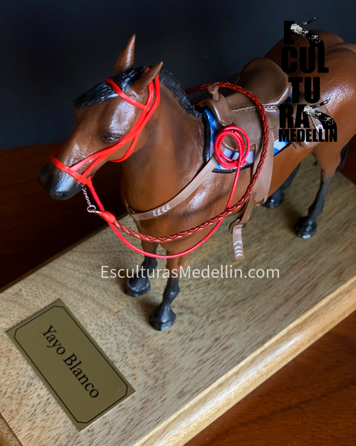 CABALLO CRIOLLO  FULL DETALLES
