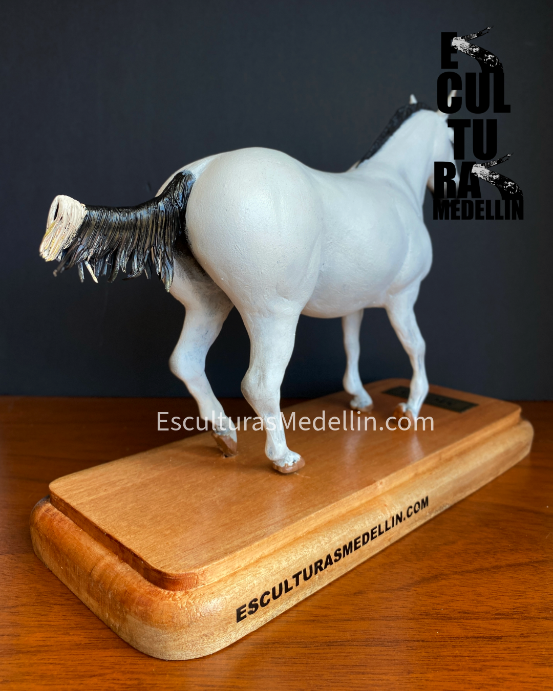 CABALLO MEZCLA ARABE Y PASO FINO