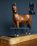 TANGO CABALLO CRIOLLO COLOMBIANO