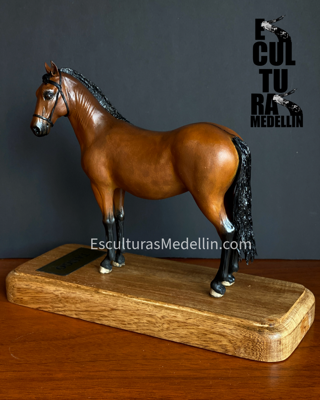 TANGO CABALLO CRIOLLO COLOMBIANO
