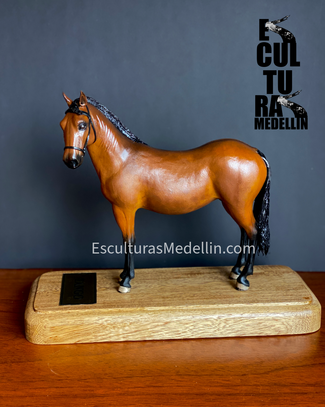 TANGO CABALLO CRIOLLO COLOMBIANO