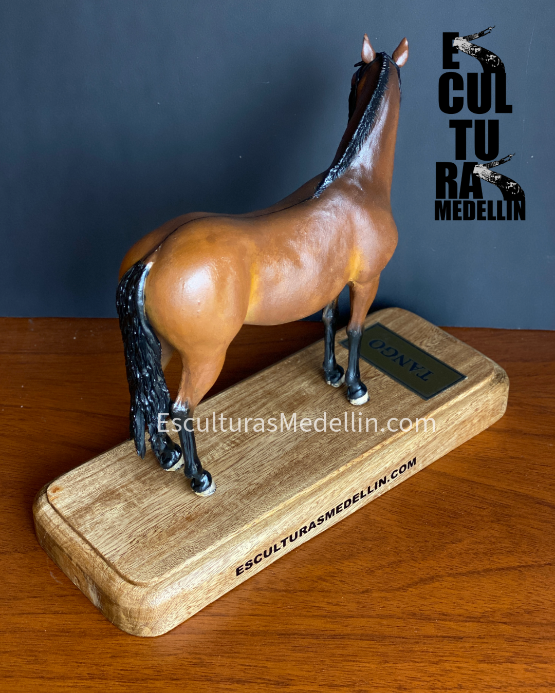 TANGO CABALLO CRIOLLO COLOMBIANO