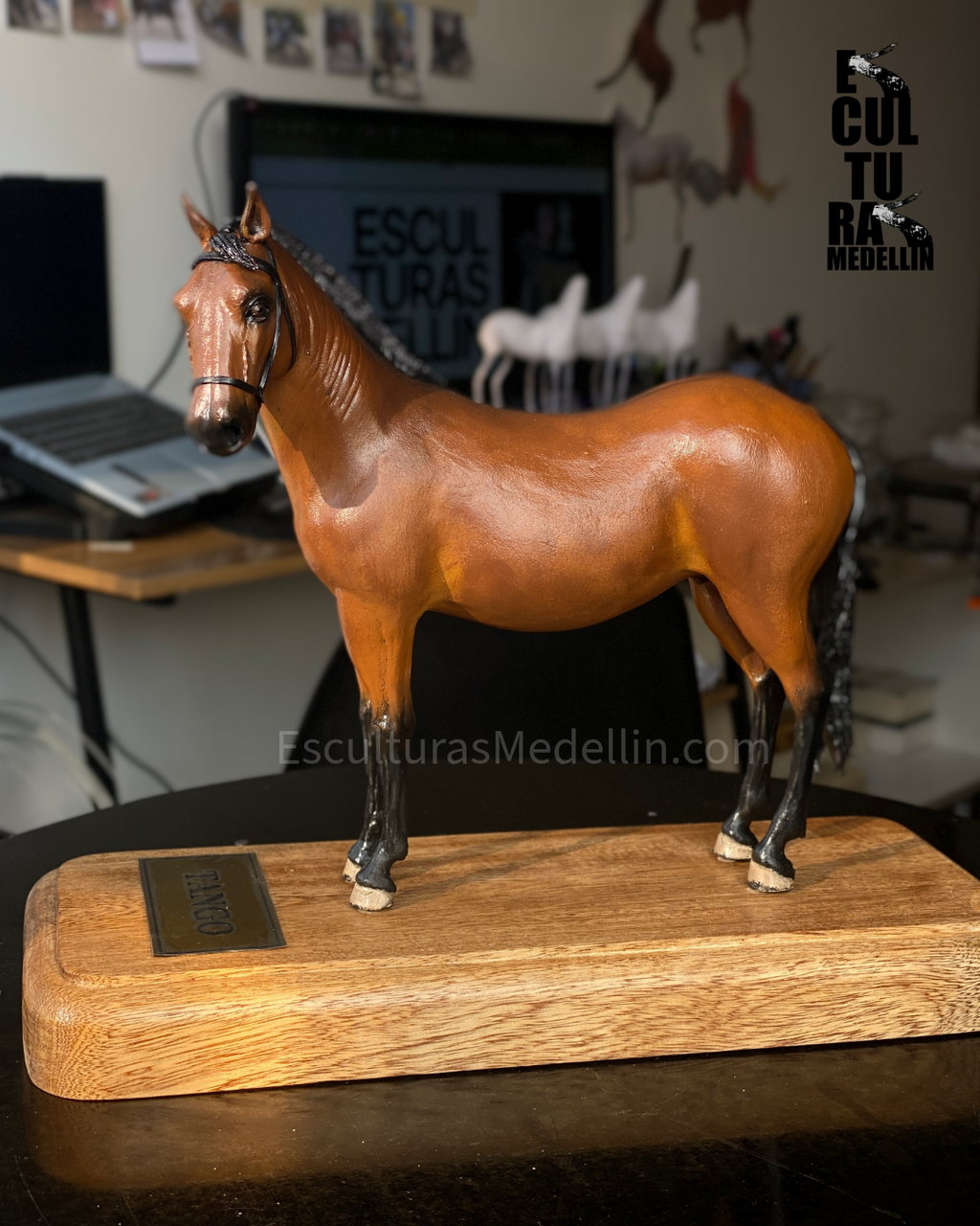 TANGO CABALLO CRIOLLO COLOMBIANO