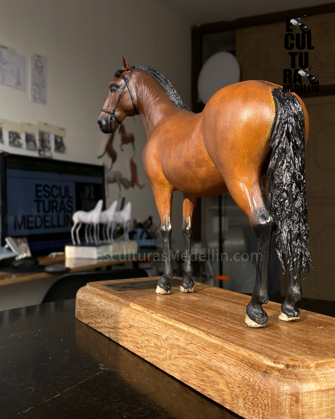 TANGO CABALLO CRIOLLO COLOMBIANO