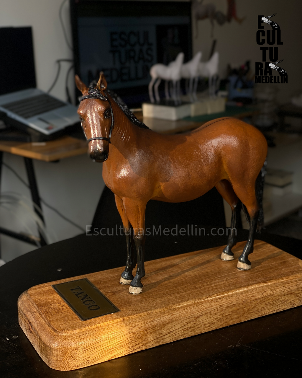 TANGO CABALLO CRIOLLO COLOMBIANO