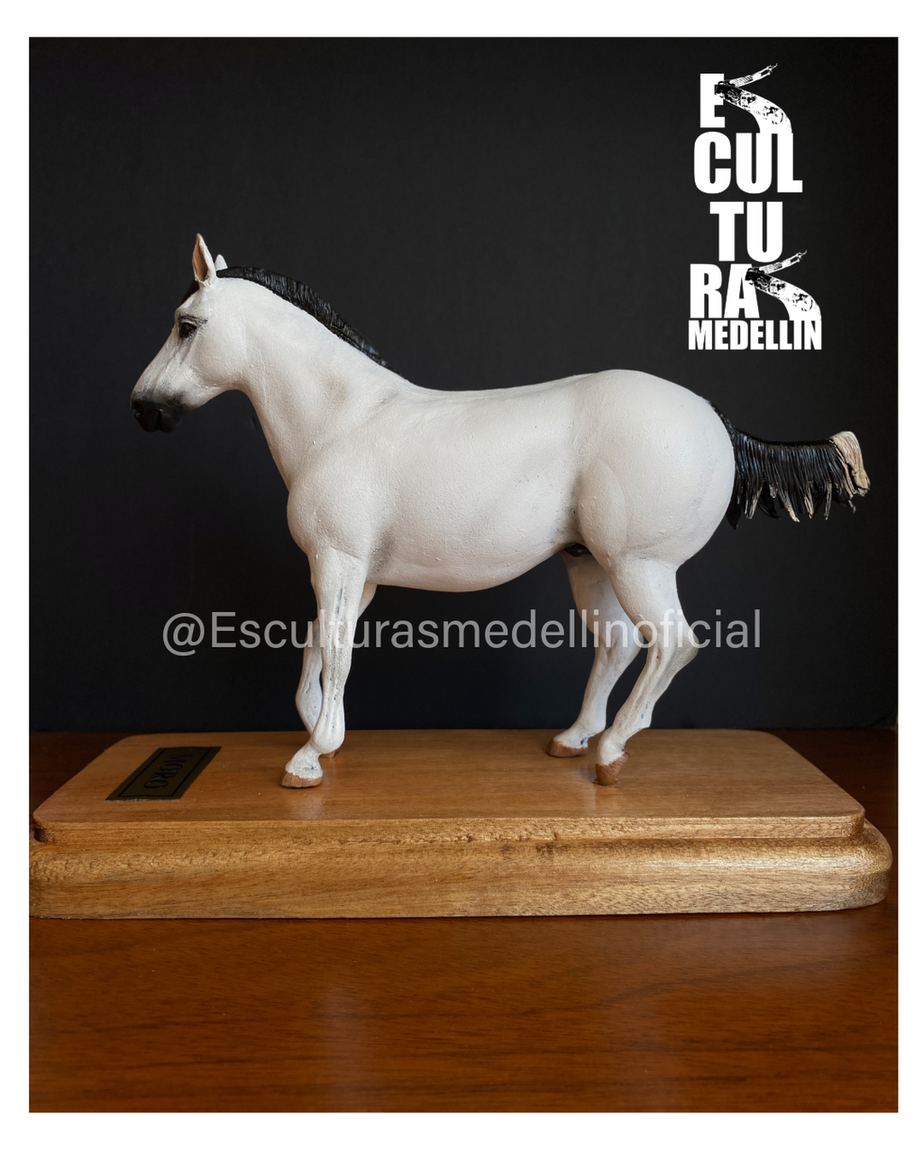 CABALLO MEZCLA ARABE Y PASO FINO