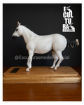 CABALLO MEZCLA ARABE Y PASO FINO