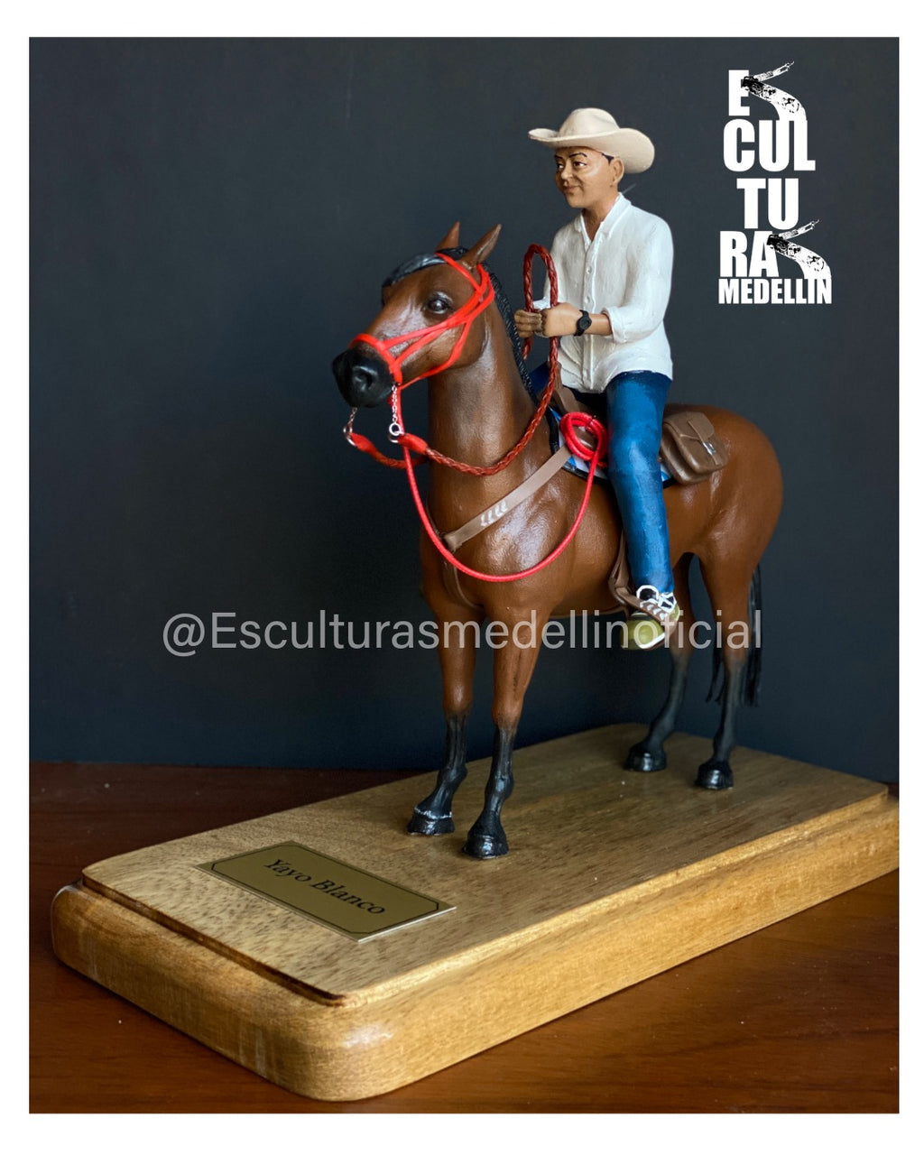 CABALLO CRIOLLO CON MONTADOR