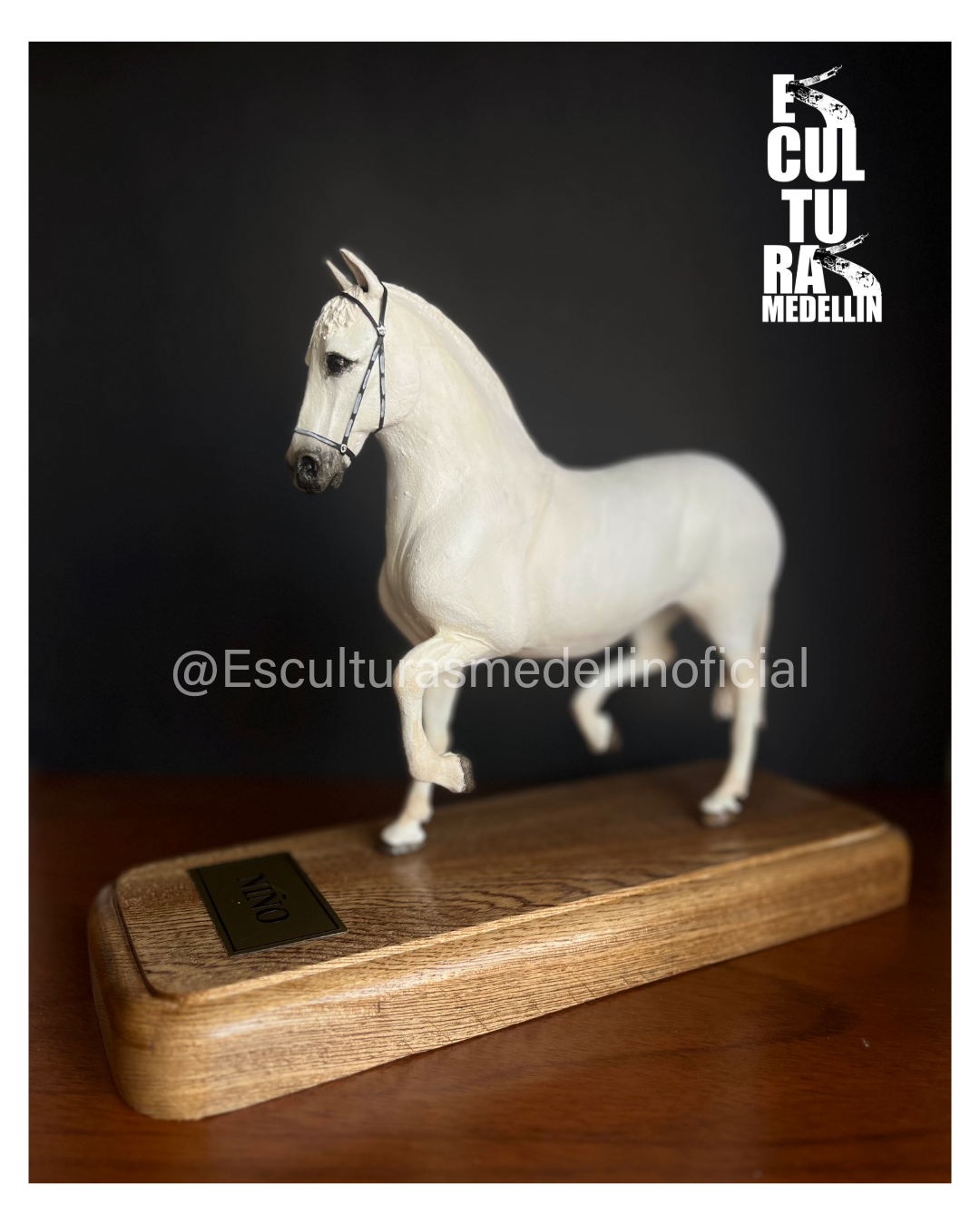 CABALLO BLANCO PASO FINO