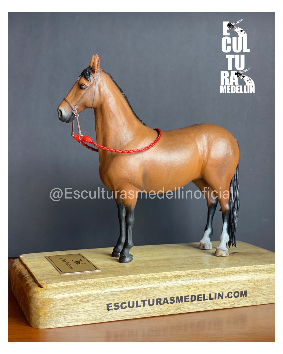 ZOE YEGUA CRIOLLA COLOMBIANA