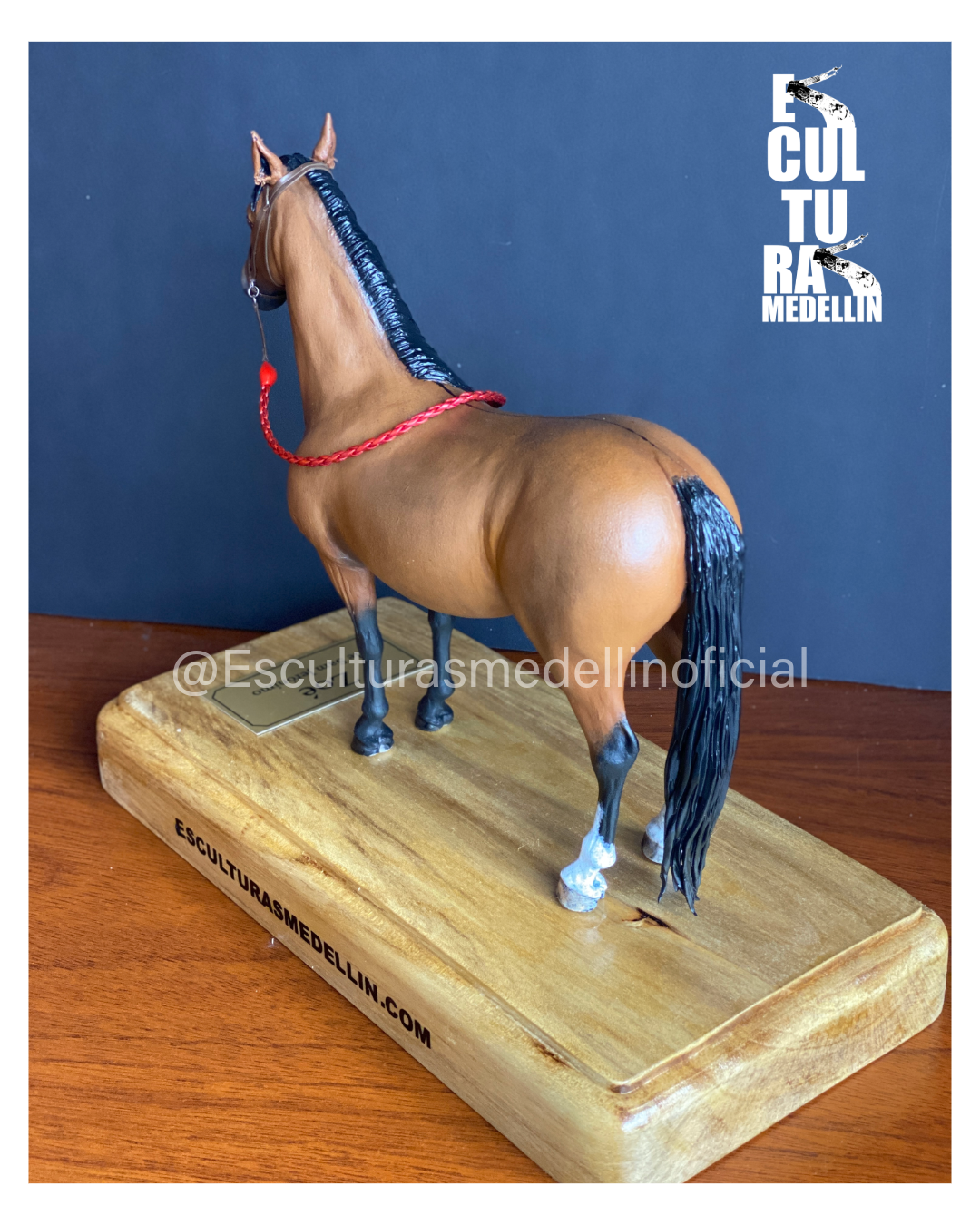 ZOE YEGUA CRIOLLA COLOMBIANA
