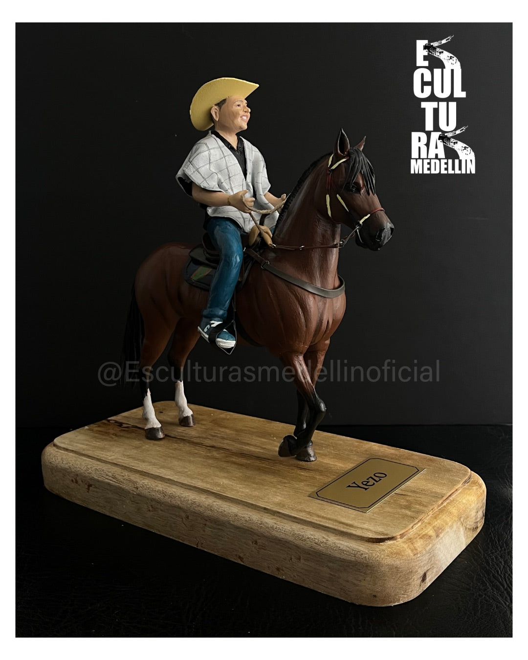 CRIOLLO COLOMBIANO CON SU JINETE PERSONALIZADO
