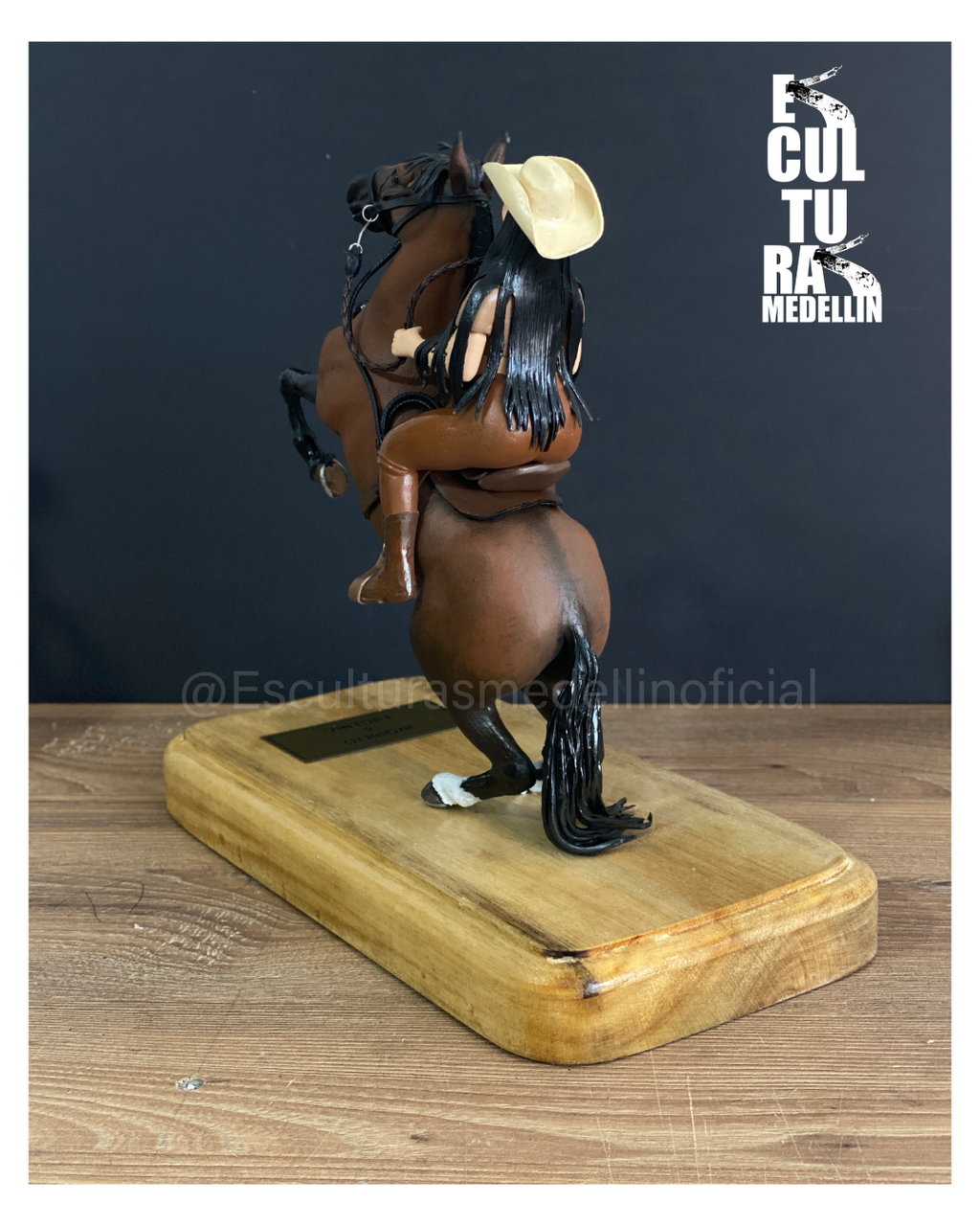 CRIOLLO COLOMBIANO A DOS PATAS Y SU AMAZONA PERSONALIZADA