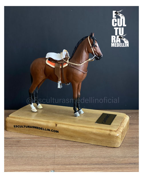 CABALLO CRIOLLO COLOMBANO COLOMBIANO CANTINERO PERSONALIZADO