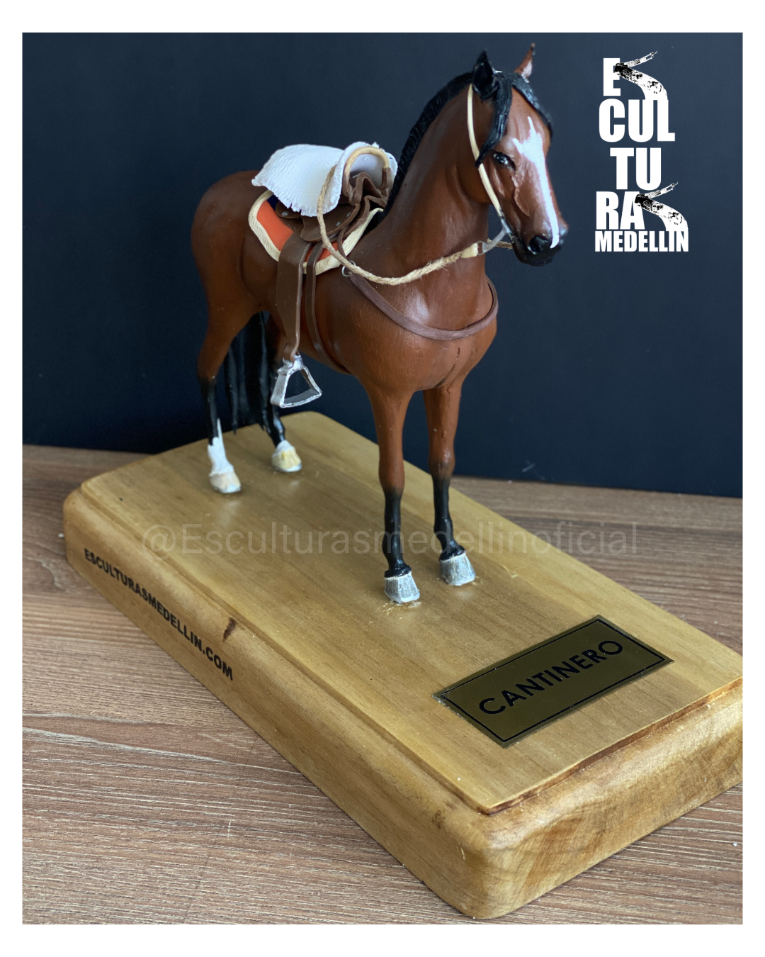 CABALLO CRIOLLO COLOMBANO COLOMBIANO CANTINERO PERSONALIZADO