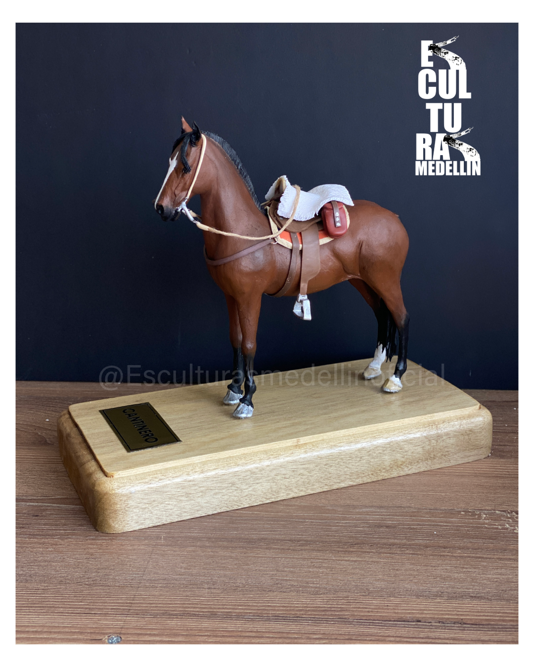 CABALLO CRIOLLO COLOMBANO COLOMBIANO CANTINERO PERSONALIZADO