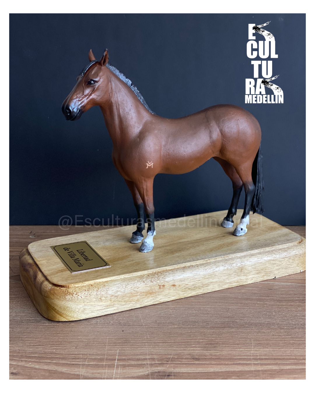 YEGUA CRIOLLA COLOMBIANA PERSONALIZADA