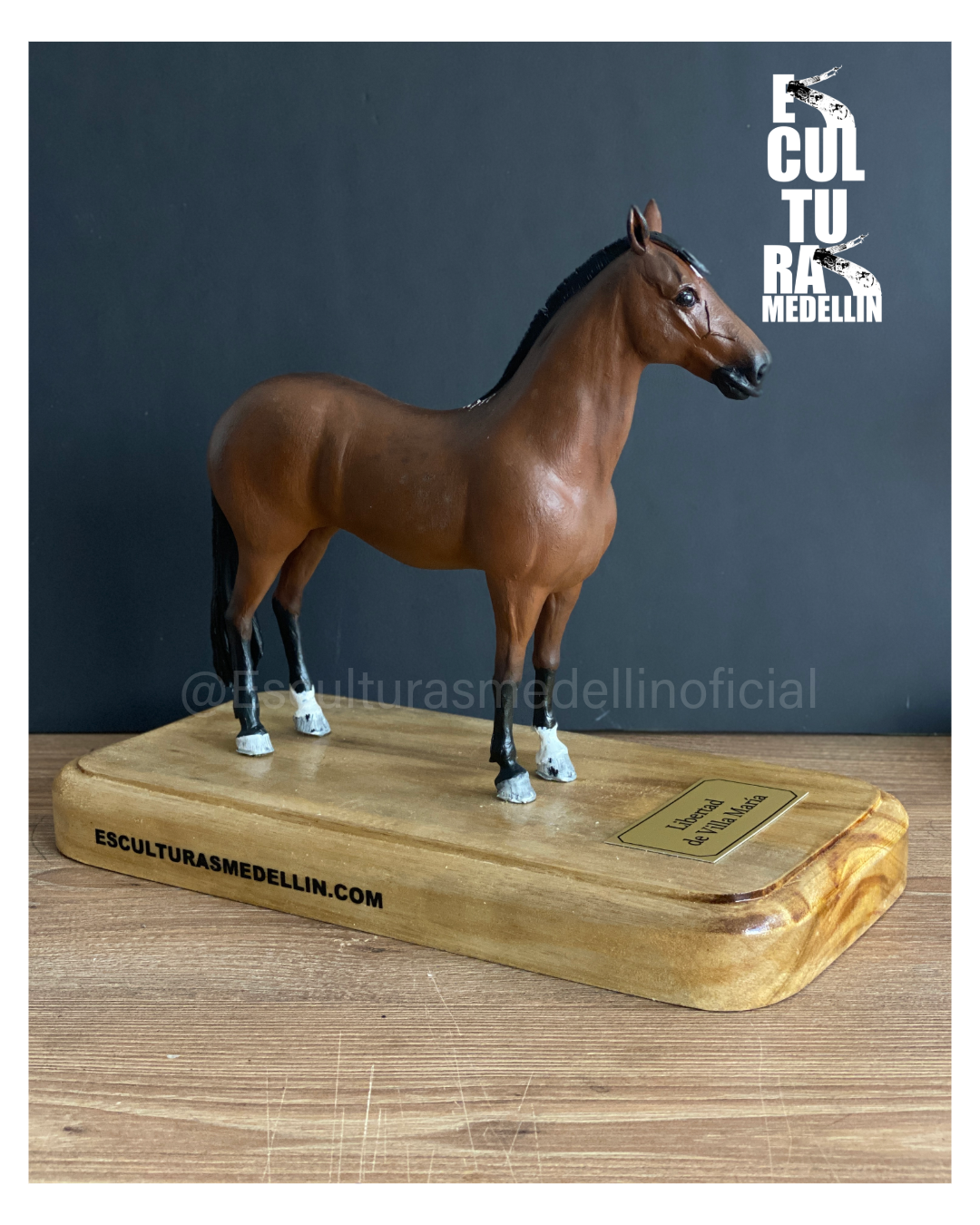 YEGUA CRIOLLA COLOMBIANA PERSONALIZADA