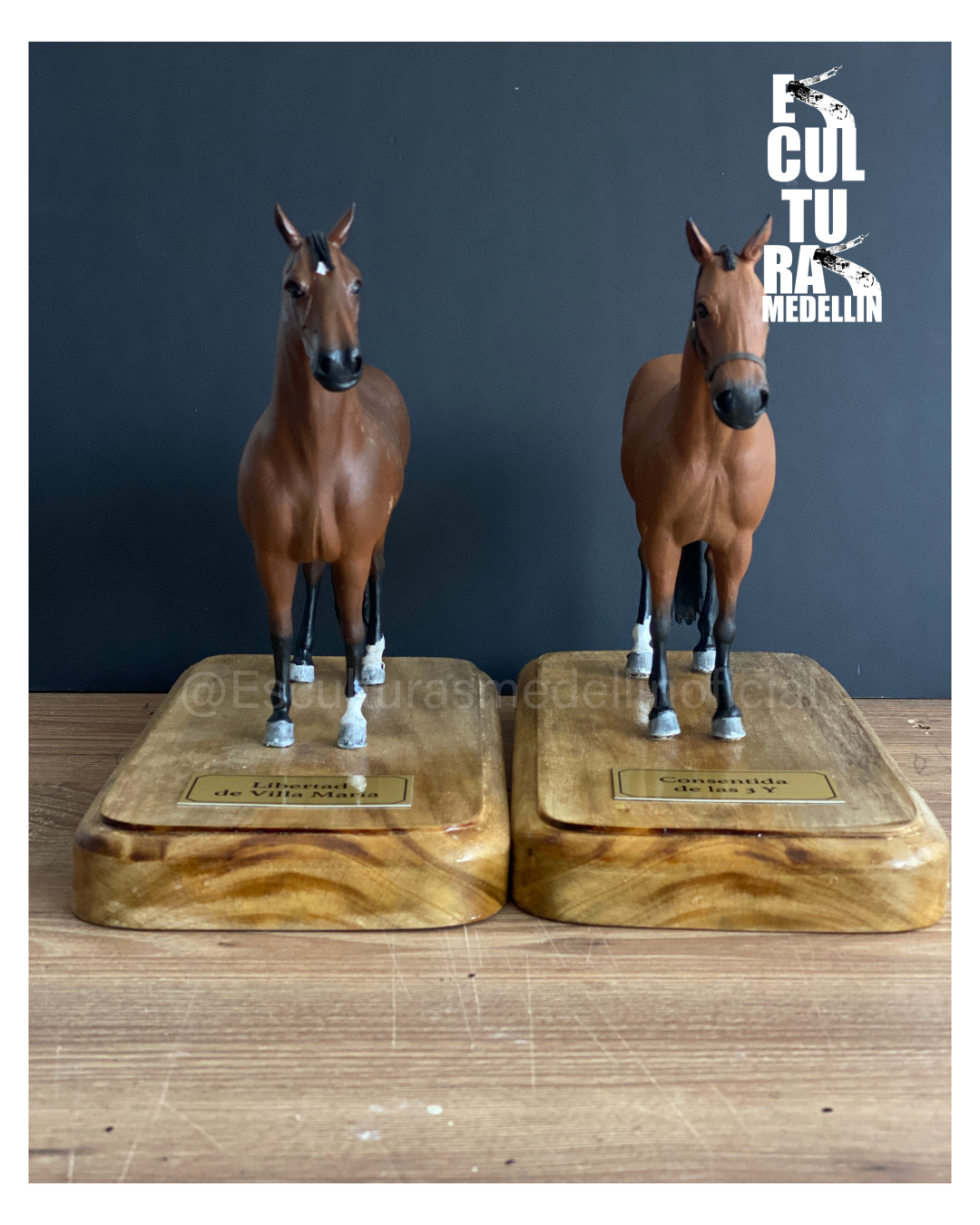 YEGUA RAZA CABALLO CRIOLLO COLOMBIANO PERSONALIZADO CONSENTIDA