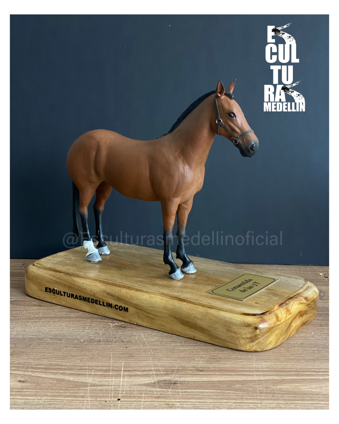 YEGUA RAZA CABALLO CRIOLLO COLOMBIANO PERSONALIZADO CONSENTIDA