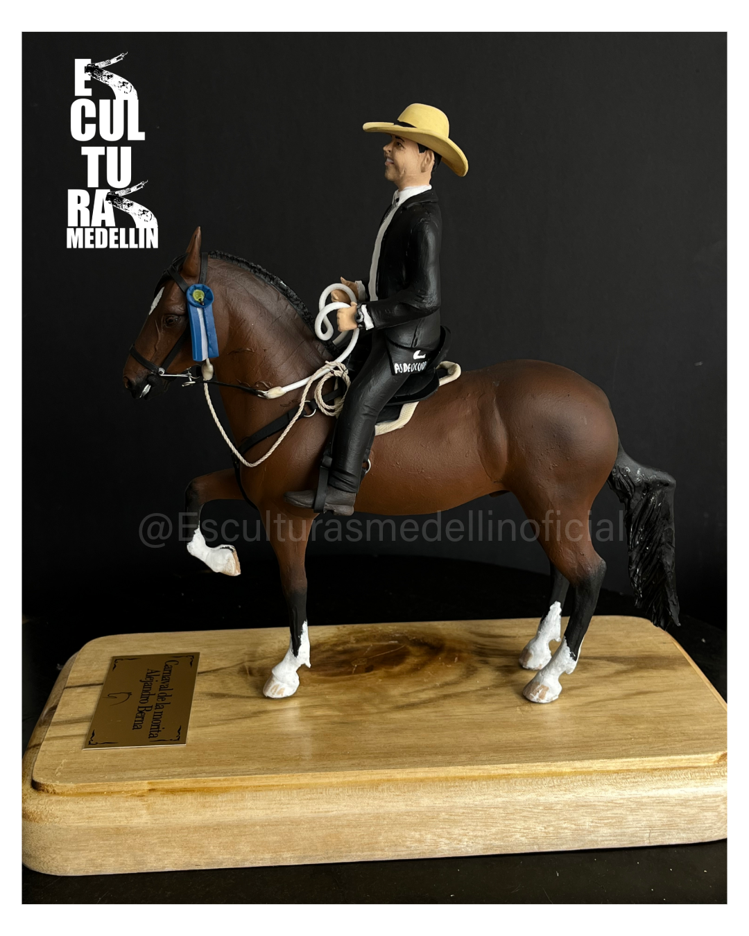CABALLO CRIOLLO COLOMBIANO Y SU CHALAN