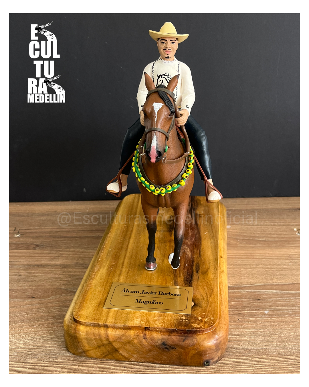 CABALLLO CRIOLLO COLOMBIANO TROTON CON SU JINETE