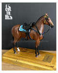 CABALLO CRIOLLO COLOMBIANO CON SILLA