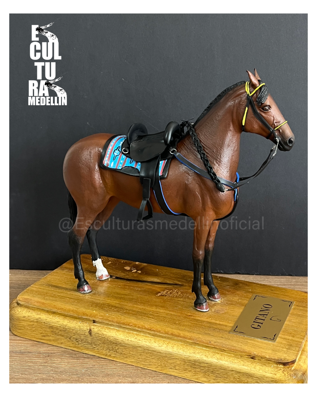 CABALLO CRIOLLO COLOMBIANO CON SILLA