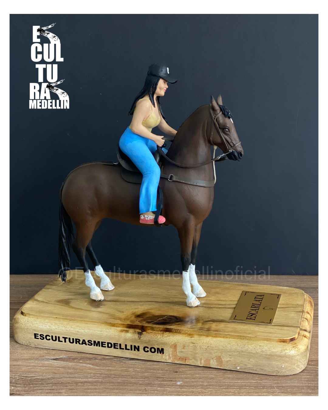 CABALLO CRIOLLO COLOMBIANO Y SU AMAZONA