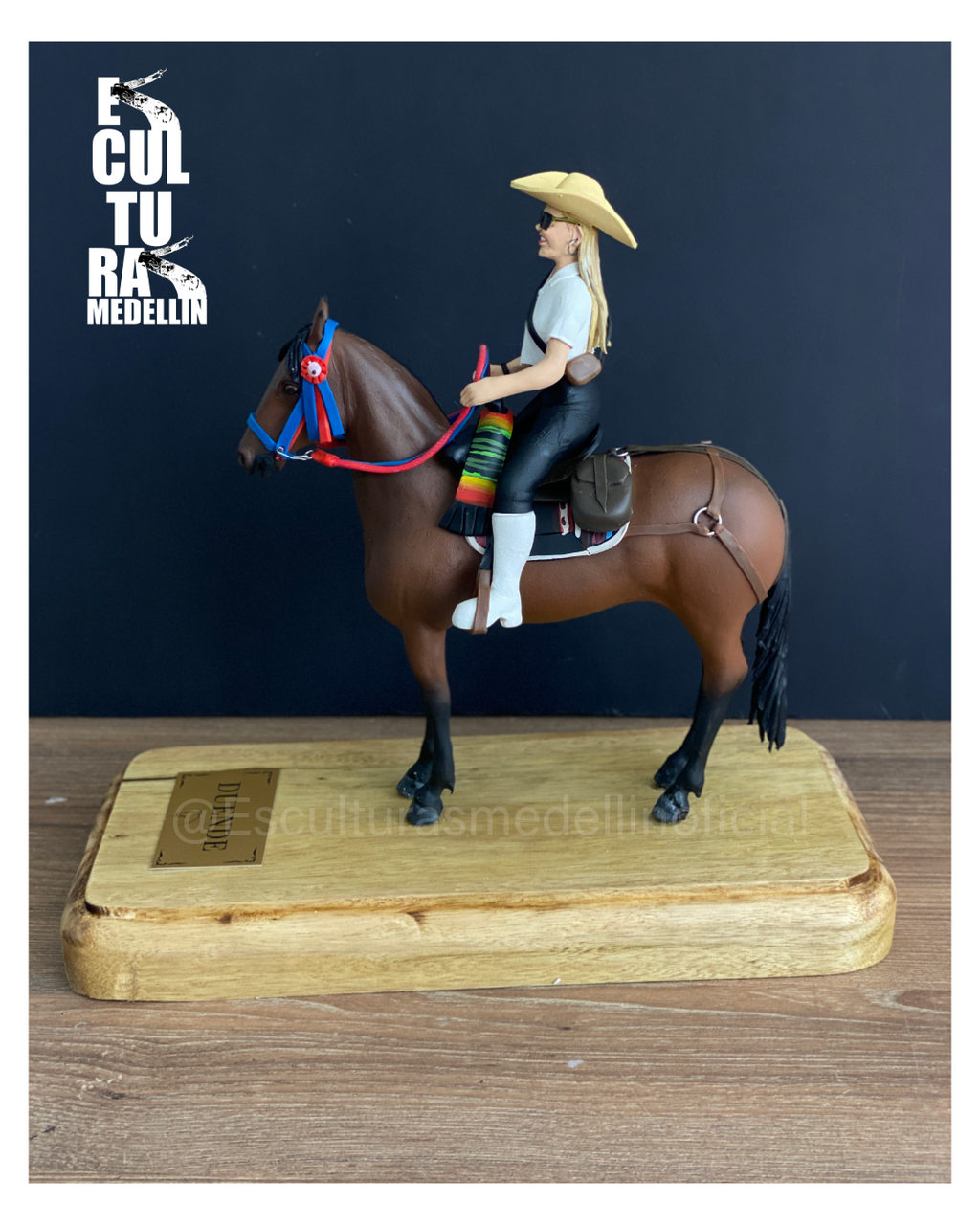 CABALLO CRIOLLO COLOMBIANO Y SU AMAZONA