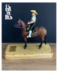 CABALLO CRIOLLO COLOMBIANO Y SU AMAZONA