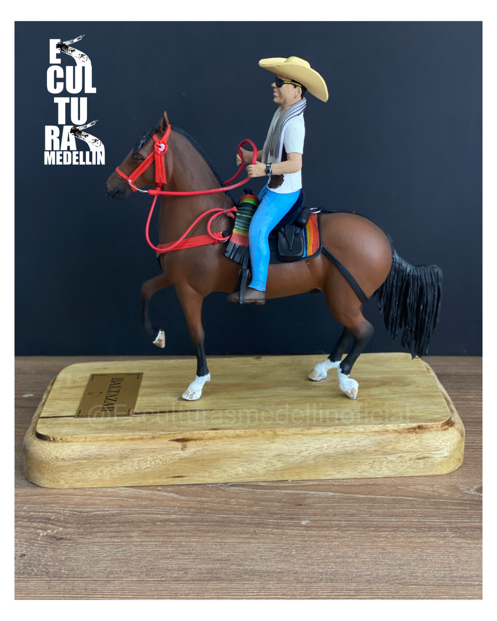CABALLO CRIOLLO COLOMBIANO TROTE