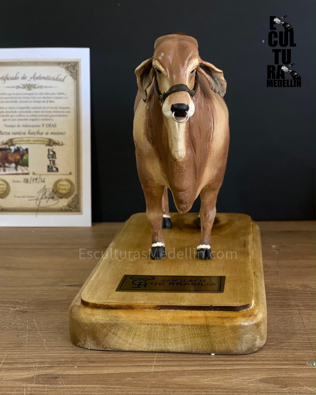 BRAHMAN ROJO PERSONALIZADO