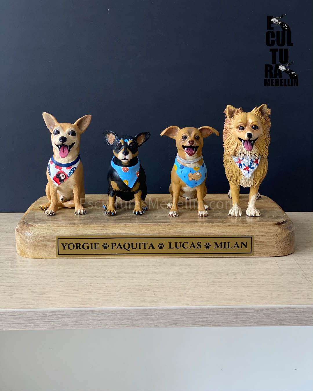 FAMILIA CANINA PERSONALIZADA